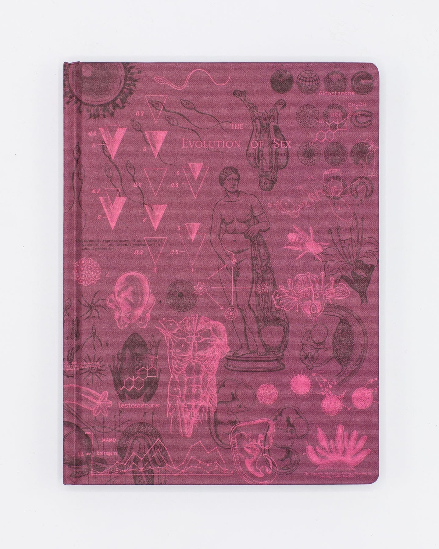 Reproduction Hardcover - Lined/Grid Cognitive Surplus