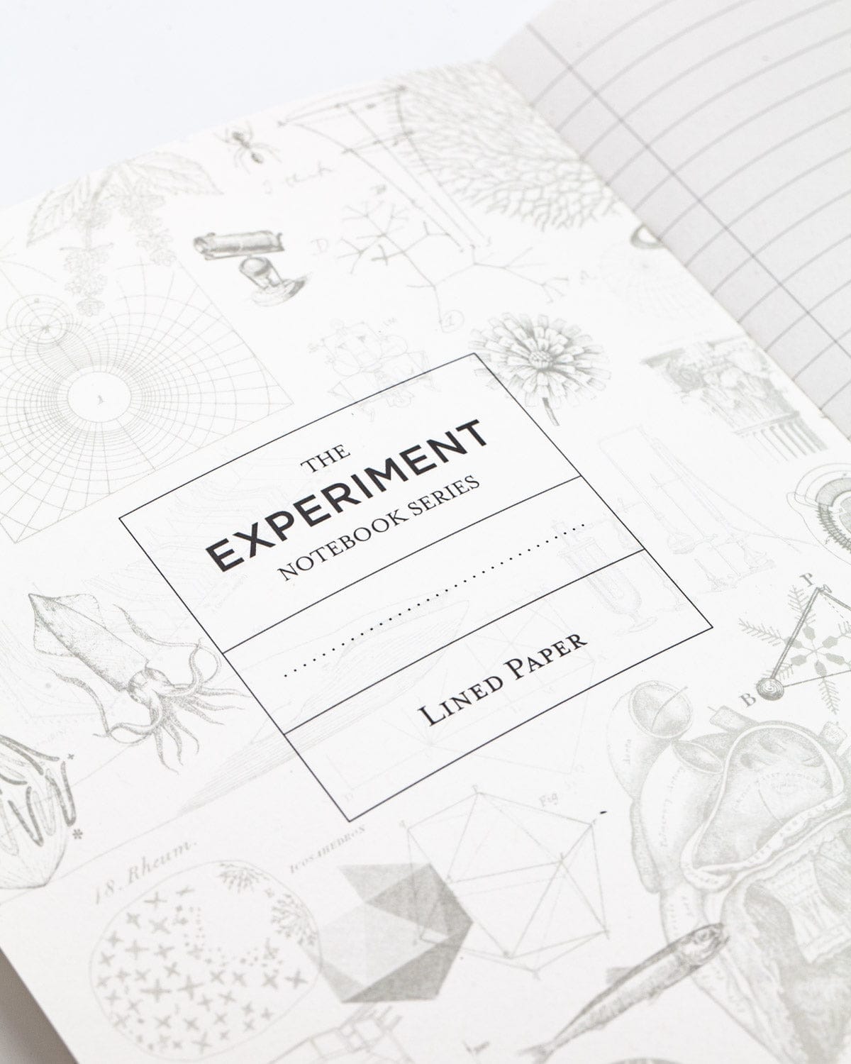 Rivers & Mountains Softcover - Lined Cognitive Surplus