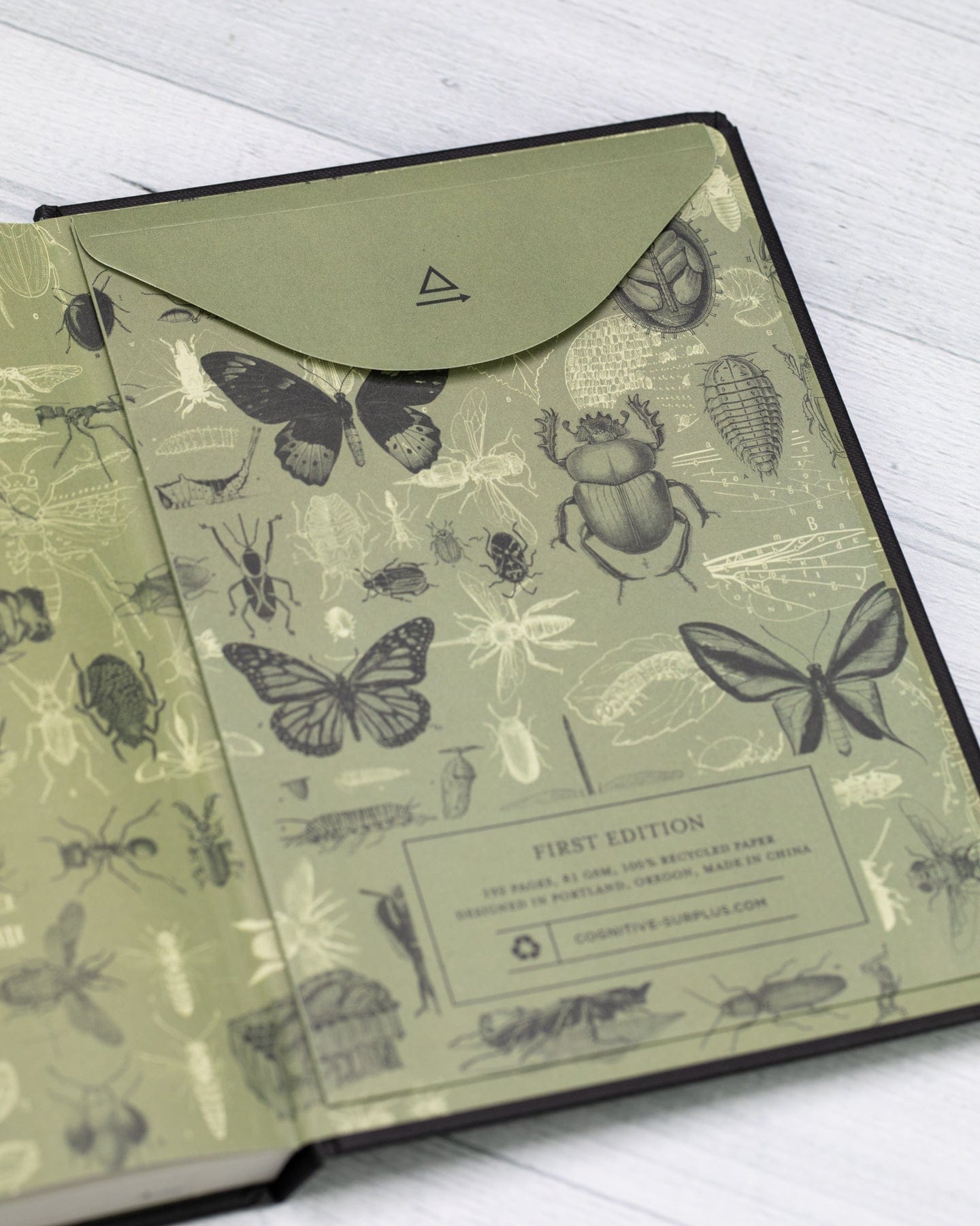 Scarab Beetle Insect A5 Hardcover Cognitive Surplus