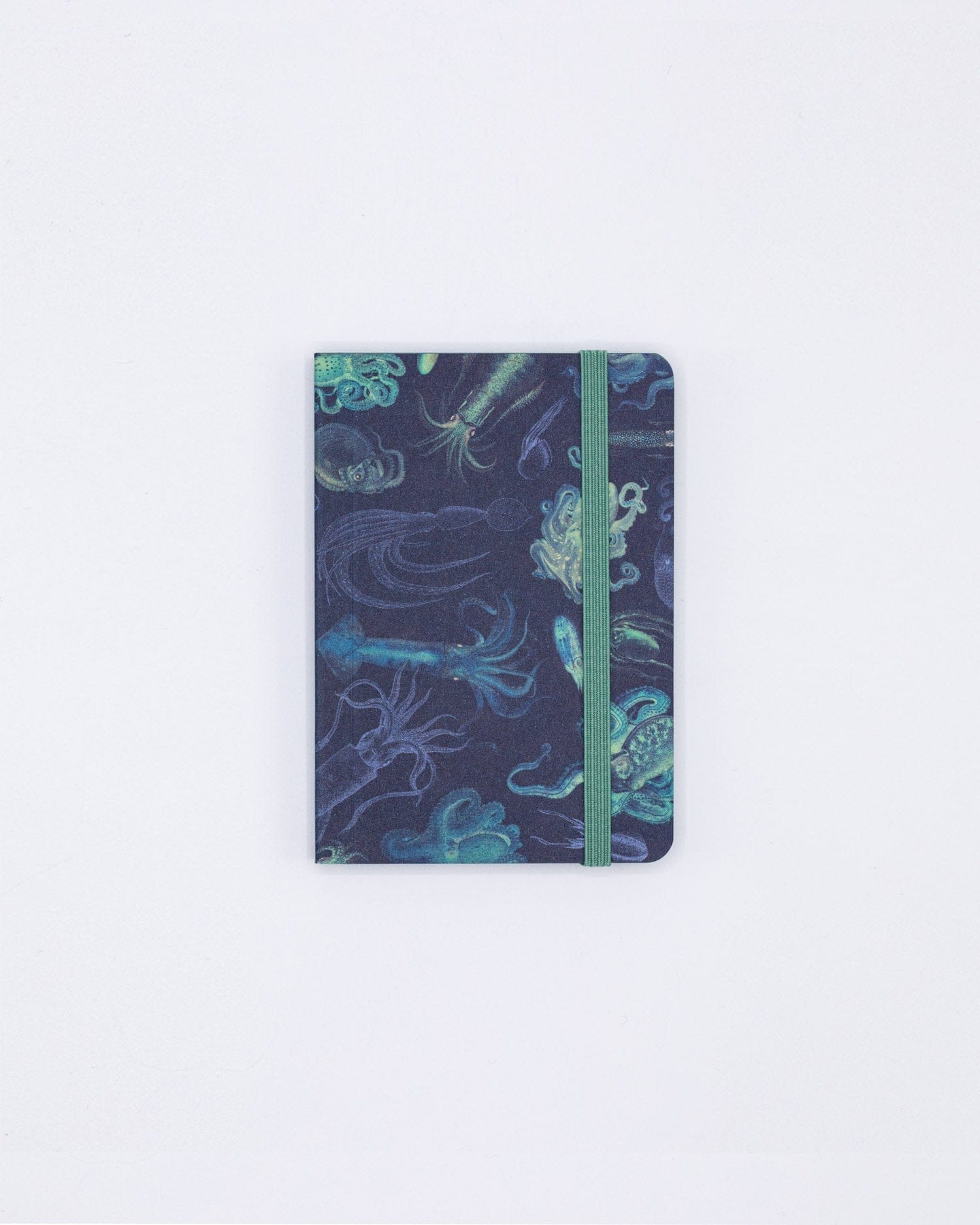 Sea Monsters: Octopus & Squid Observation Softcover Cognitive Surplus