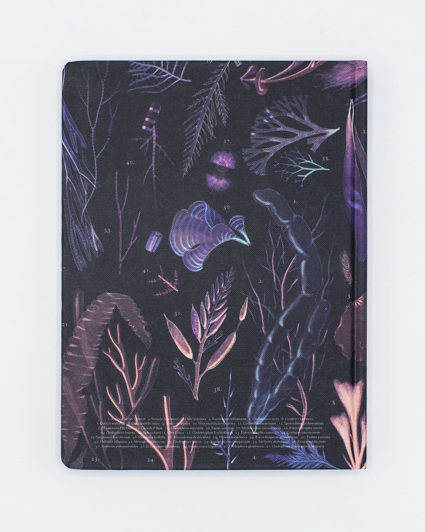 Seaweed Hardcover - Dot Grid Cognitive Surplus