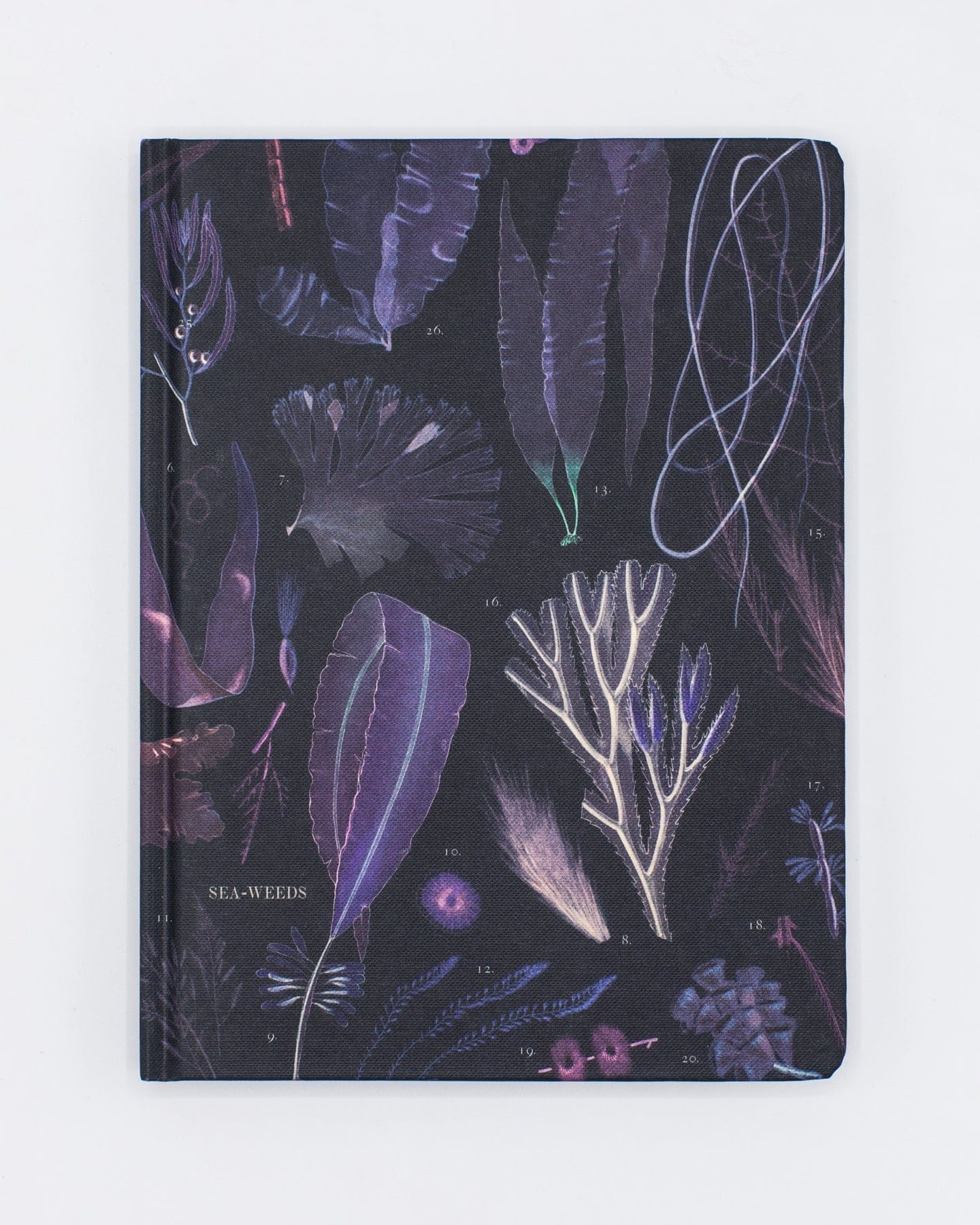 Seaweed Hardcover - Dot Grid Cognitive Surplus