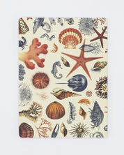 Shallow Seas Plate 2 Softcover- Lined Cognitive Surplus