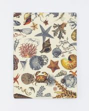 Shallow Seas Plate 2 Softcover- Lined Cognitive Surplus