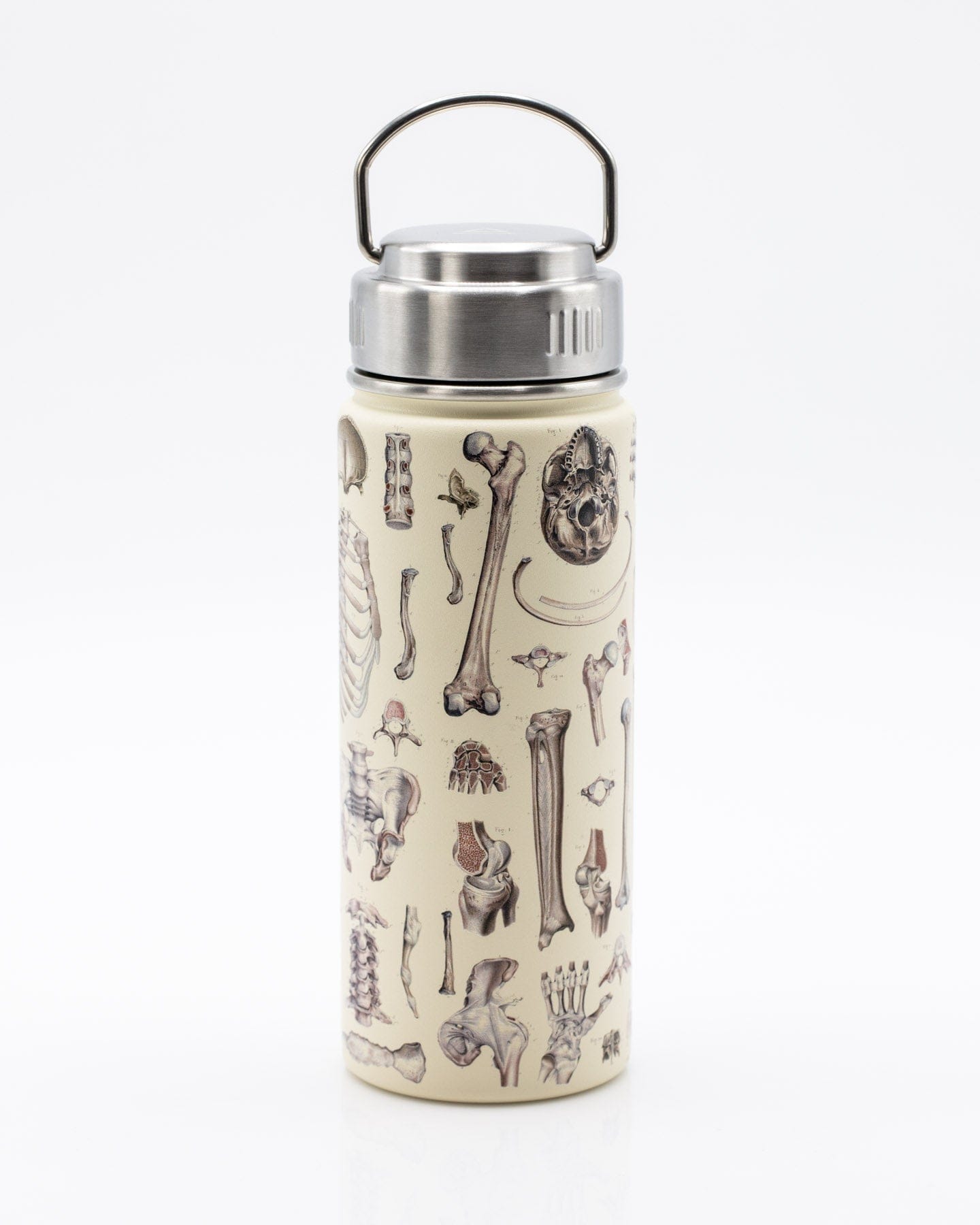Skeleton 18 oz Steel Bottle Cognitive Surplus