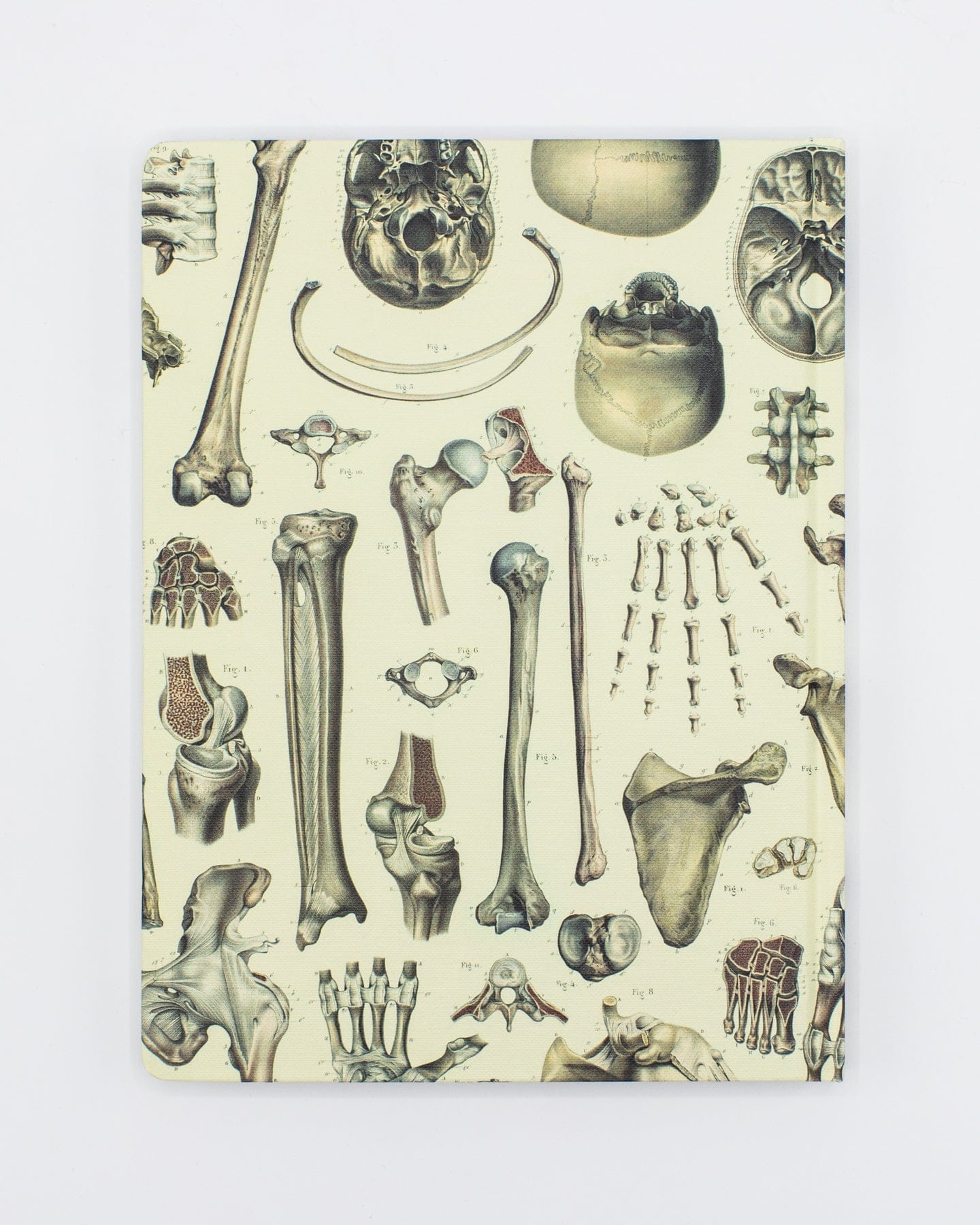 Skeleton Pl 2 Hardcover - Dot Grid Cognitive Surplus