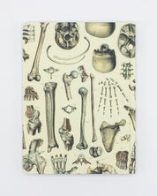 Skeleton Pl 2 Hardcover - Dot Grid Cognitive Surplus