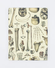 Skeleton Plate 2 Softcover - Lined Cognitive Surplus