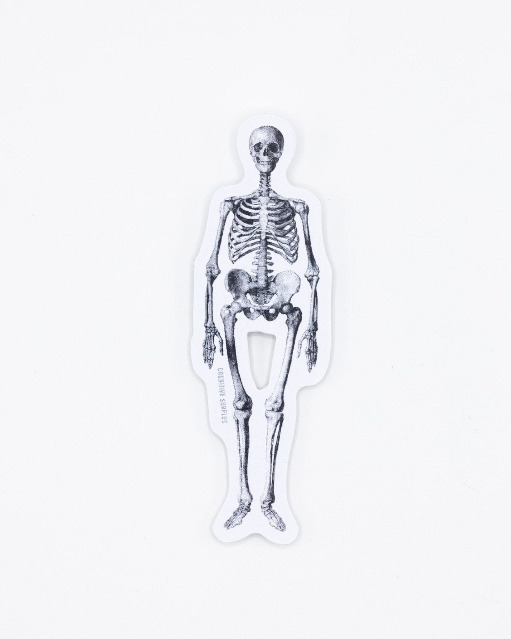 Skeleton Sticker Cognitive Surplus