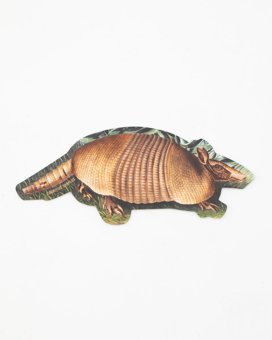A Cognitive Surplus Armadillo Sticker on a white background.