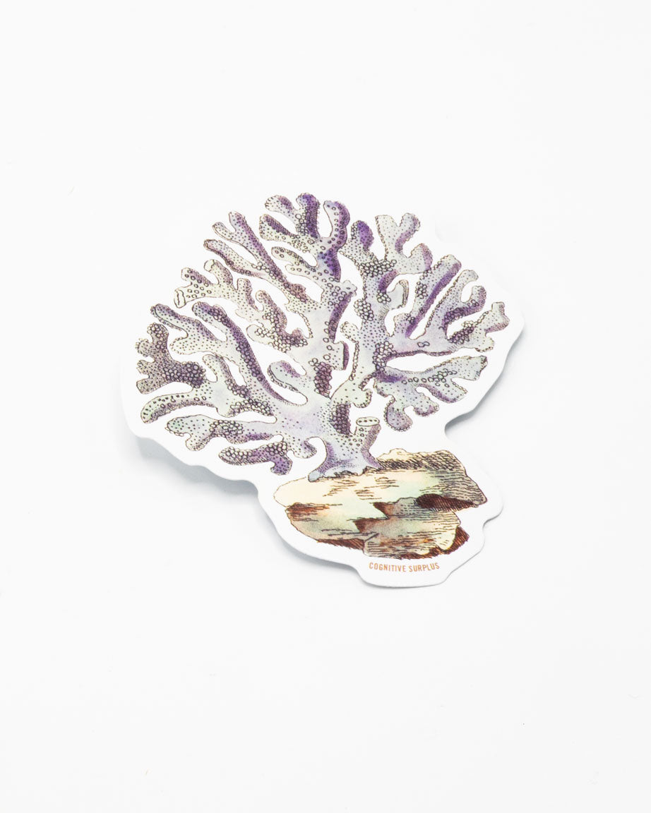 A white Coral Sticker with a purple coral on it by Cognitive Surplus.