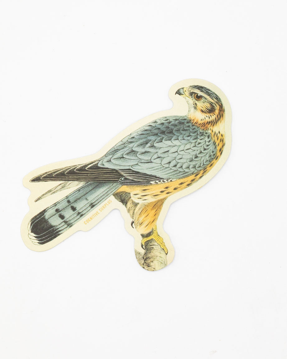 A Cognitive Surplus Merlin Falcon Sticker.