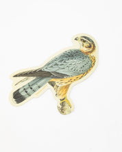 A Cognitive Surplus Merlin Falcon Sticker.