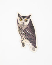 A Cognitive Surplus Mottled Owl Sticker on a white surface.