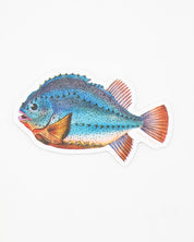 A Cognitive Surplus Lump Fish Sticker.