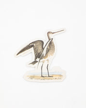 A Cognitive Surplus Marbled Godwit sticker.