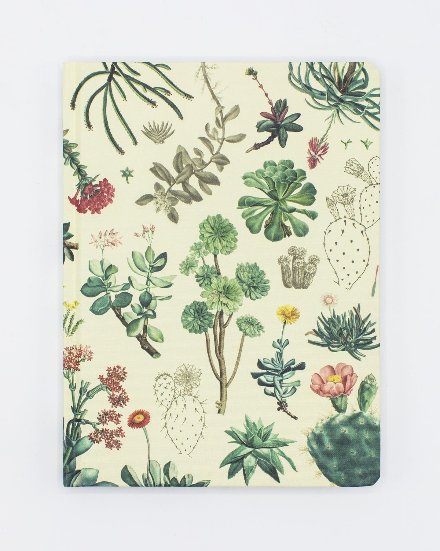 Succulents Hardcover - Dot Grid Cognitive Surplus