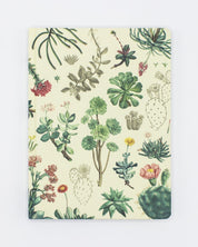 Succulents Hardcover - Dot Grid Cognitive Surplus