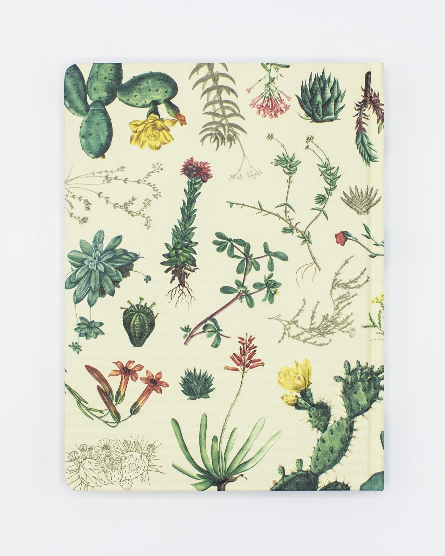 Succulents Hardcover - Dot Grid Cognitive Surplus