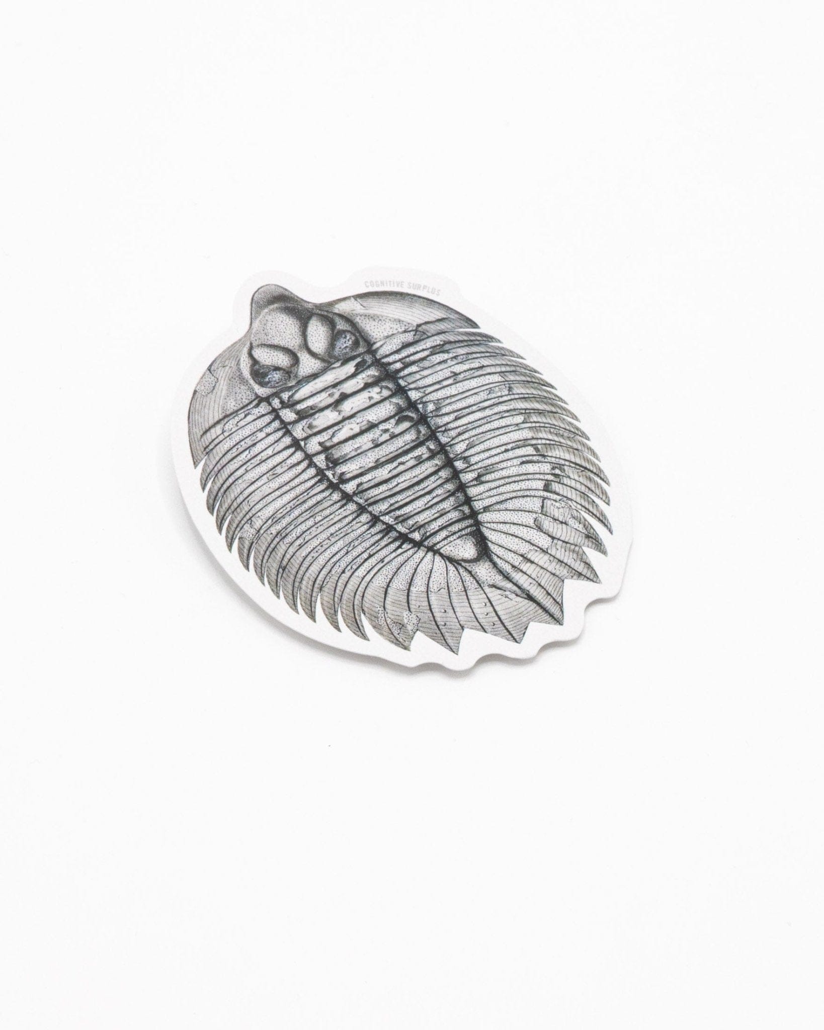Trilobite Fossil Sticker Cognitive Surplus