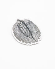 Trilobite Fossil Sticker Cognitive Surplus