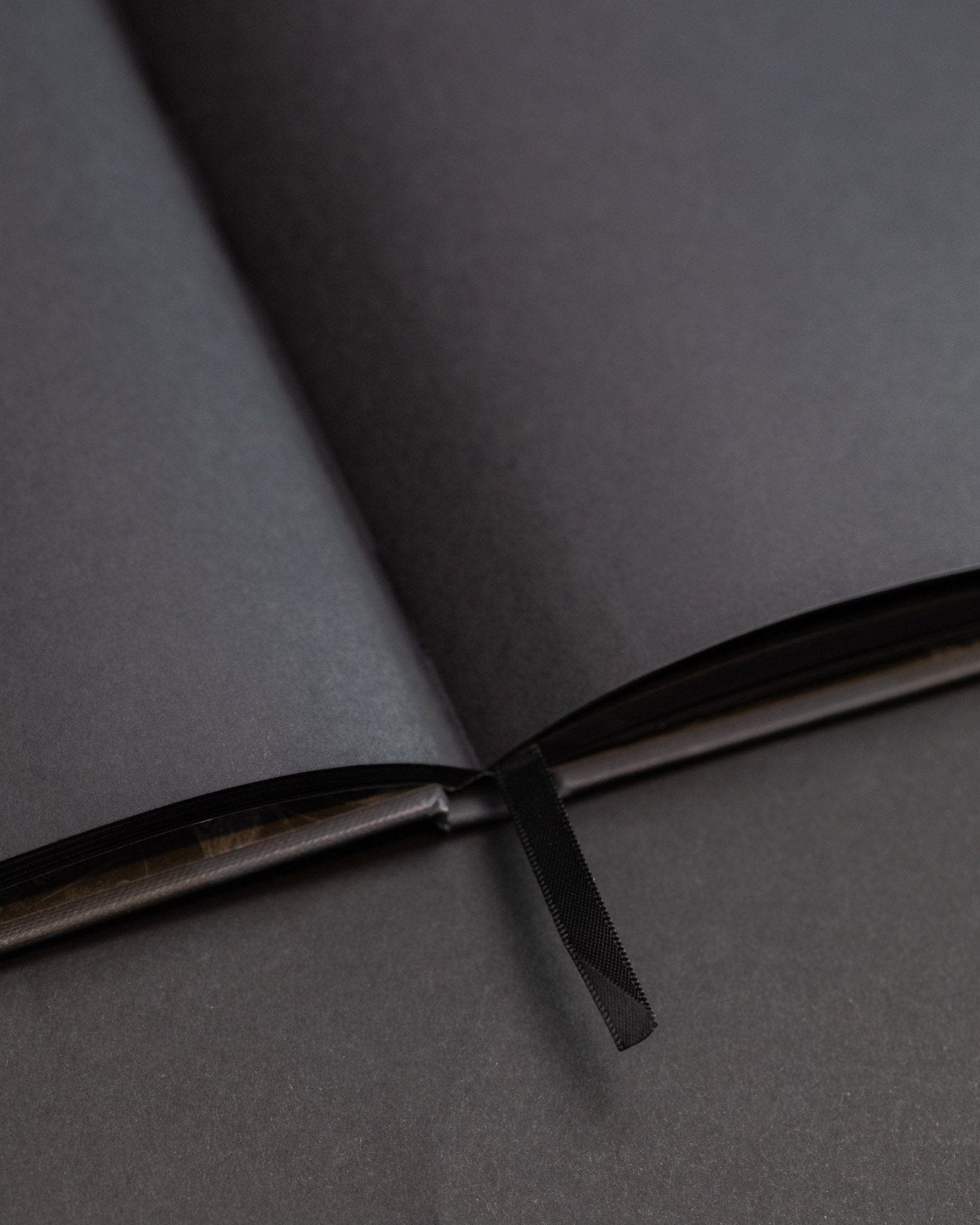 Twilight in the Evergreen Forest Dark Matter Notebook Cognitive Surplus
