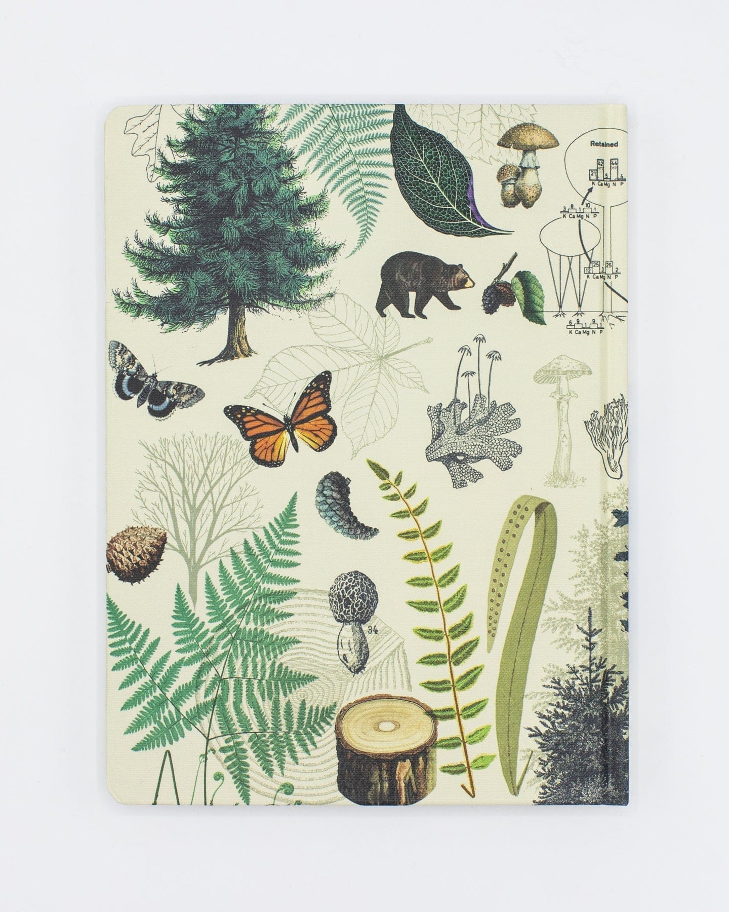 Woodland Forest Hardcover - Blank Cognitive Surplus