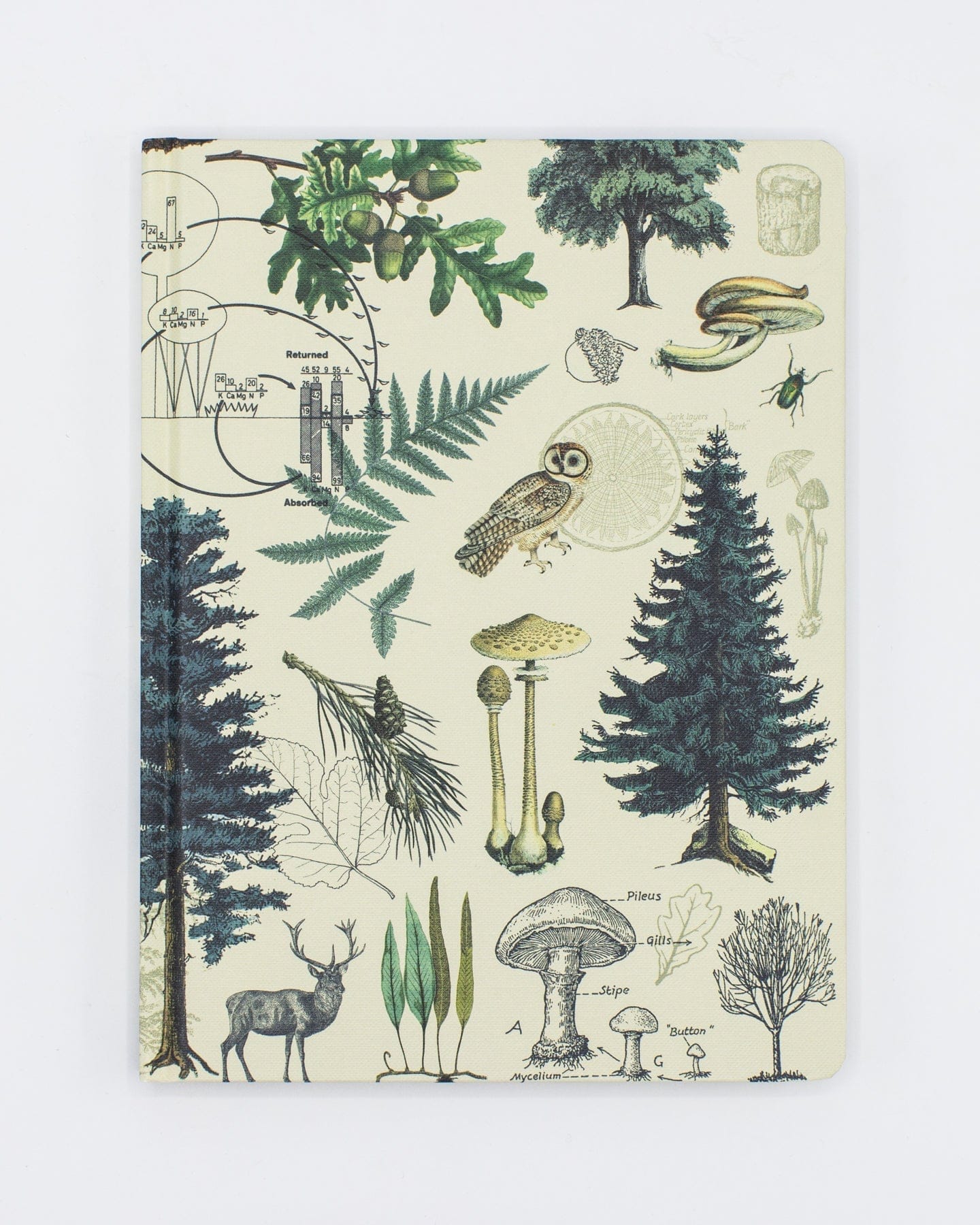 Woodland Forest Hardcover - Blank Cognitive Surplus